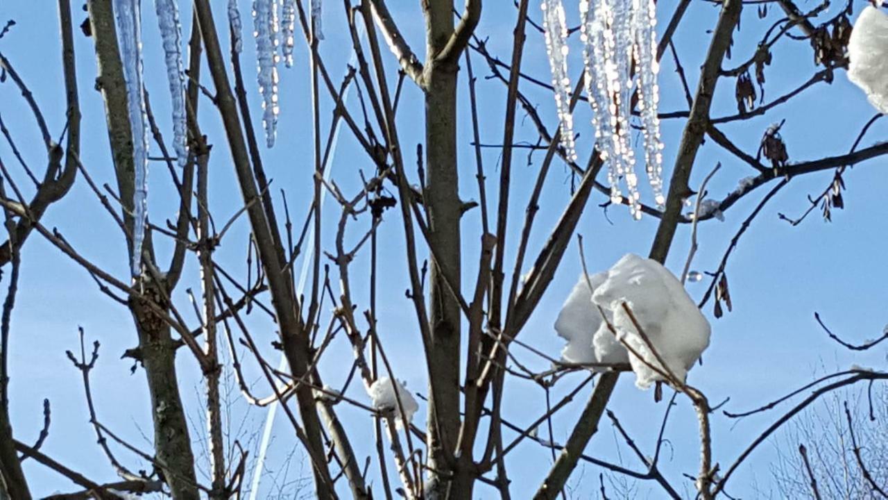 Landhaus Sonnenschein Schladming Eksteriør bilde